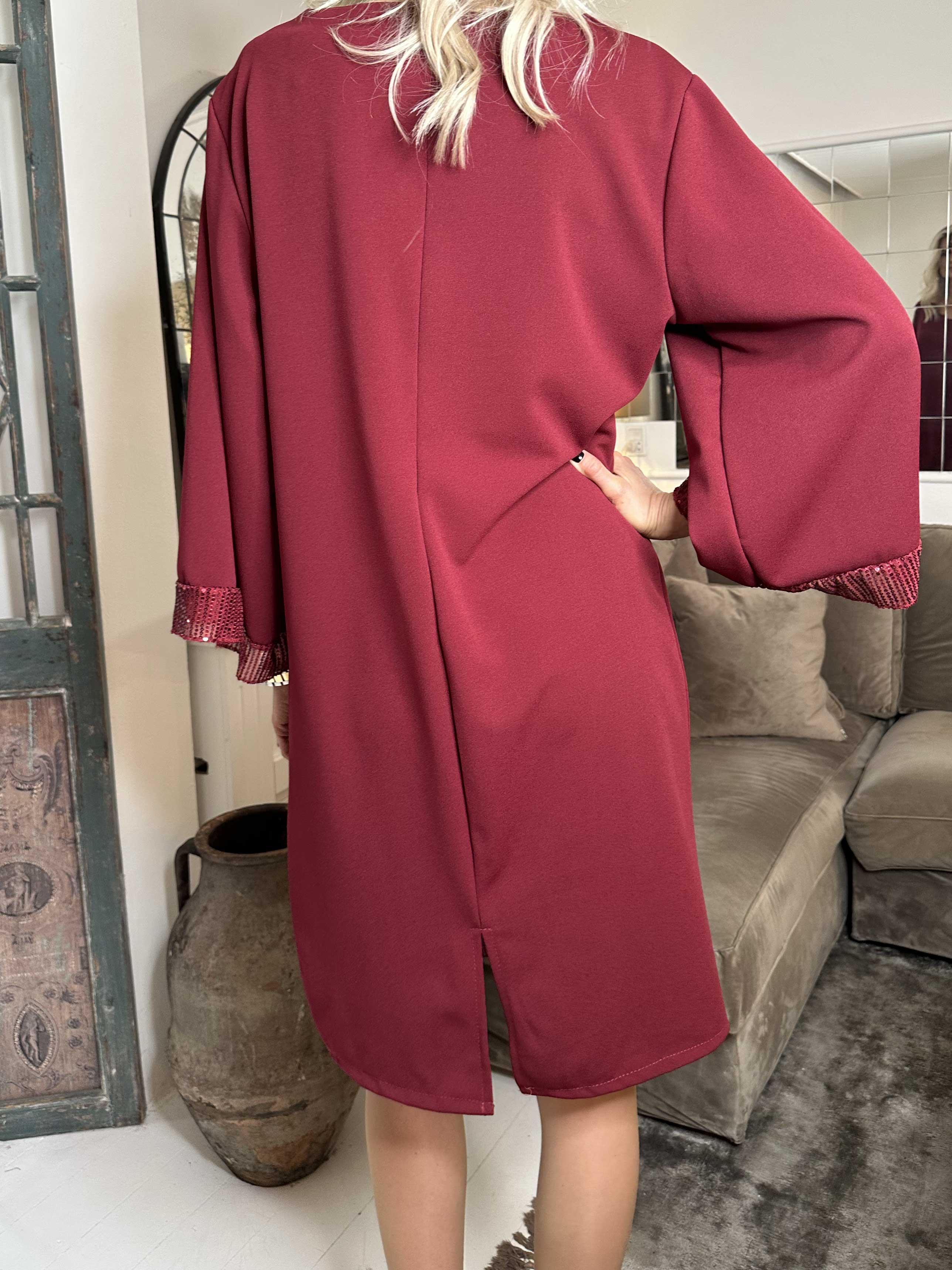 Lanza - Fin klänning detaljerad med paljettkanter